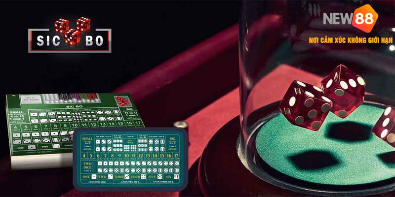 Một vài mẹo chơi xí ngầu mà người chơi nên kết hợp